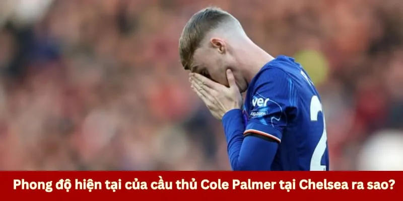 Phong độ của Palmer tại Chelsea có ổn định không?